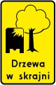 drzewa-w-skrajni.jpg