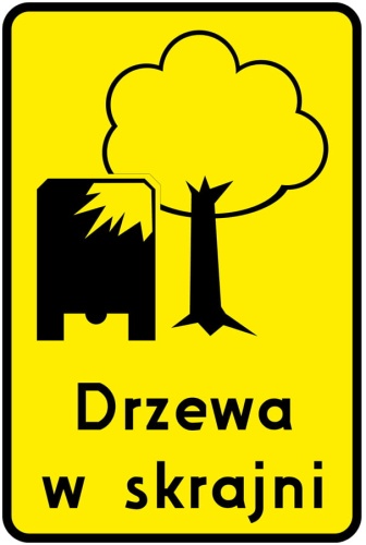 drzewa-w-skrajni.jpg