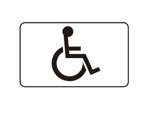 T-29 480x290 mm odbl.  1 TYP tabliczka miejsce dla osób niepełnosprawnych z uchwytami uchwyty w kpl. 