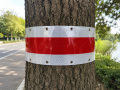 opaska-odblaskowa-czerwono-biala-na-drzewo koroblask biały